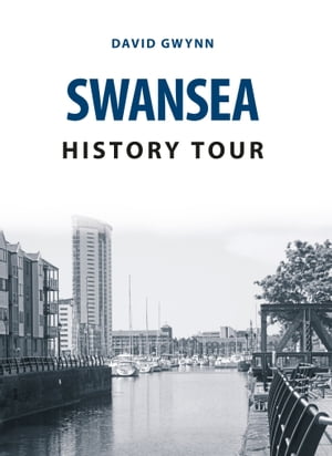 Swansea History Tour【電子書籍】[ David Gw