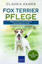 Fox Terrier Pflege Pflege, Ern?hrung und Krankheiten rund um Deinen Fox Terrier【...