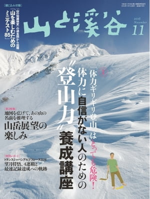 月刊山と溪谷 2016年11月号 2016年11月号【電子書籍】