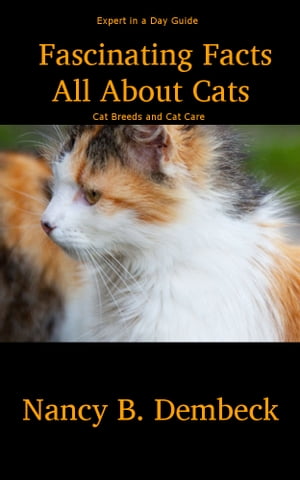 Fascinating Facts All About Cats