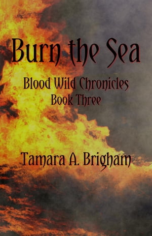 Burn the Sea