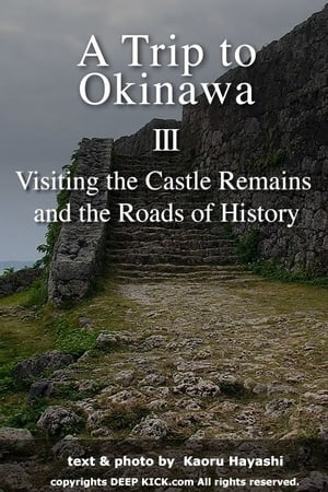 A Trip to Okinawa 3: Visiting the Castle Remains and the Roads of History