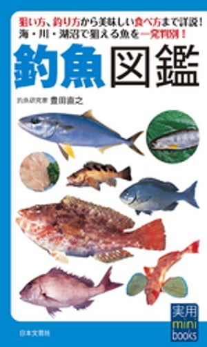 釣魚図鑑【電子書籍】[ 豊田直之 ]