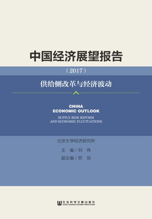 中国经济展望报告（2017）：供给侧改革与经济波动