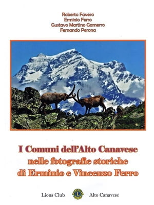 I Comuni dell'Alto Canavese