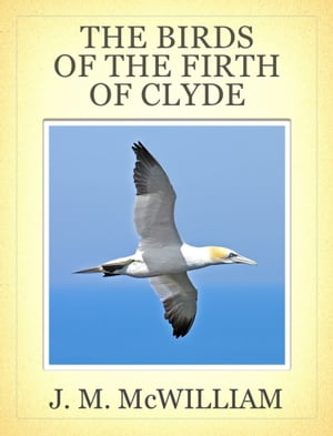 The Birds of the Firth of Clyde
