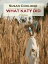 What Katy Did (Annotated)Żҽҡ[ Susan Coolidge ]