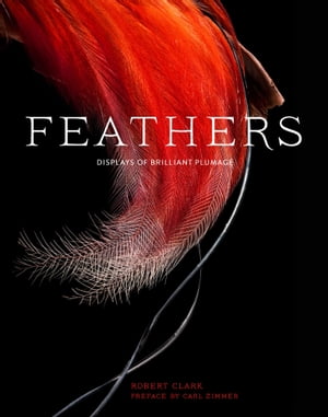 Feathers