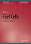 Fuel Cells From Birth to MaturityŻҽҡ[ Ulf Bossel ]