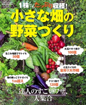 １株でもたっぷり収穫！ 小さな畑の野菜づくり