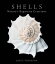 Shells