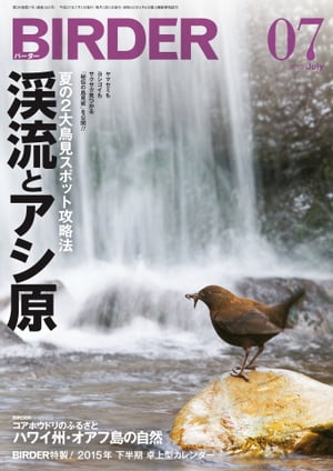 BIRDER2015年7月号