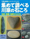 集めて調べる川原の石ころ 名前・特徴・地質がわかる