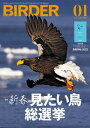 BIRDER2022年1月号【電子書籍】[ BIRDER編集部 ]