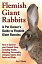 Flemish Giant Rabbits, A Pet Owners Guide to Flemish Giant Bunnies, How to Care for your Flemish Giant, including Health, Breeding, Personality, Lifespan, Colors, Diet, Facts and ClubsŻҽҡ[ Ann L. Fletcher ]