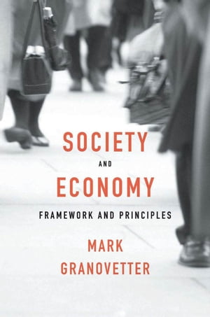 Society and Economy Framework and Principles