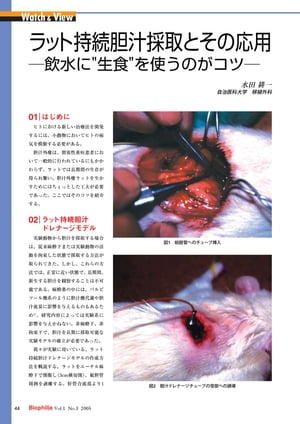最新実験技術 : 第3回 無拘束実験技術 ー古くて新しい技術ー / ラット持続胆汁採取とその応用 ー飲水に"生食"を使うのがコツー
