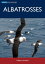 Albatrosses