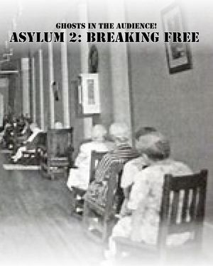 Asylum 2: Breaking Free