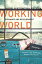 Working World Careers in International Education, Exchange, and Development, Second EditionŻҽҡ[ Sherry Lee Mueller ]