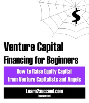 Venture Capital Financing for Beginners