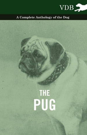 The Pug - A Complete Anthology of the Dog