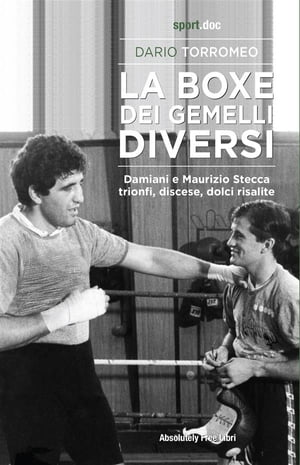 La boxe dei gemelli diversi