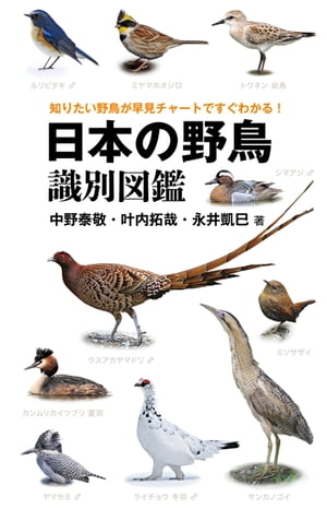 日本の野鳥識別図鑑