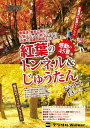 東海ウォーカー特別編集　紅葉のトンネル&じゅうたん感動の45景【電子書籍】[ TokaiWalker編集部 ]