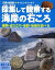 採集して観察する海岸の石ころ