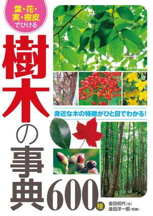 葉・花・実・樹皮でひける 樹木の事典600種【電子書籍】[ 金田初代 ]