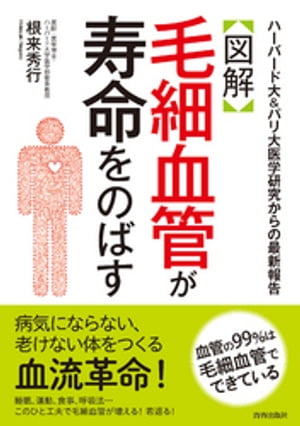 【図解】毛細血管が寿命をのばす