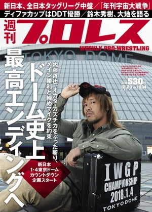 週刊プロレス 2017年 12/20号 No.1934