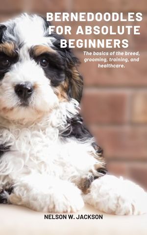 Bernedoodles for Absolute Beginners The basics o