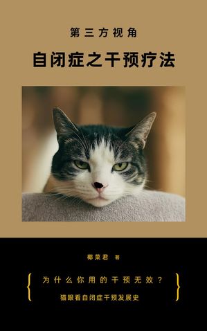 第三方视角：自闭症之干预疗法