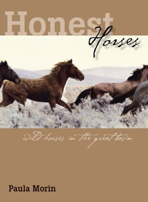 Honest Horses