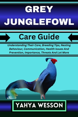 GREY JUNGLEFOWL Care Guide