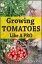 Growing Tomatoes Like A Pro: How to Grow Juicy, Colorful, Tasty, Organic Tomatoes in Your Backyard & in Containers