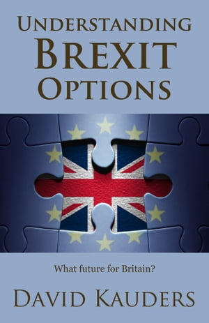 Understanding Brexit Options What future for Bri