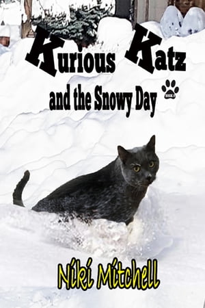 Kurious Katz and the Snowy Day