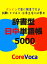 辞書型 日中単語帳 5000