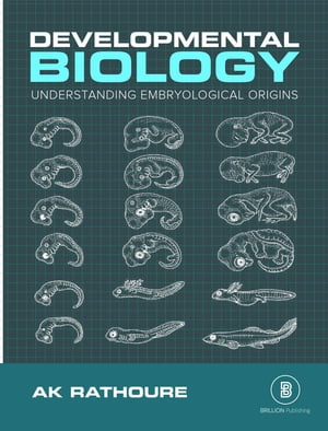 The Developmental Biology (Understanding The Embryological Origins)