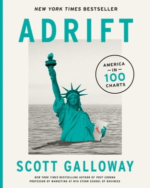 Adrift America in 100 Charts