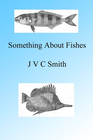 A Little Something About Fishes【電子書籍】[ J V C Smith ]