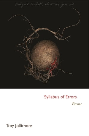 Syllabus of Errors