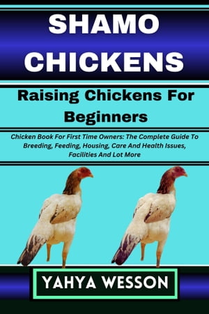 SHAMO CHICKENS Raising Chickens For Beginners
