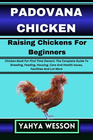 PADOVANA CHICKEN Raising Chickens For Beginners