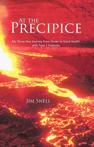 At the Precipice My Three-Year Journey from Stroke to Good Health with Type 2 Diabetes