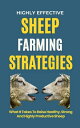 Highly Effective Sheep Farming Strategies: What It Takes To Raise Healthy, Strong And Highly Productive Sheep【電子書籍】 Rachael B