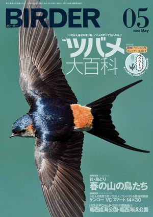 BIRDER2018年5月号